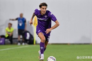 科尔帕尼告别佛罗伦萨三支意甲球队展开争夺